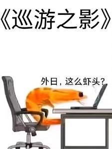 巡游向导怎么获得