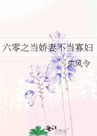 六零悍妻当家