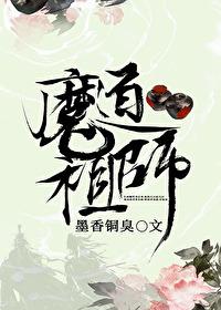 魔道祖师动漫完整版免费