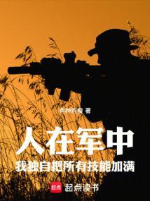 我的军功能加点